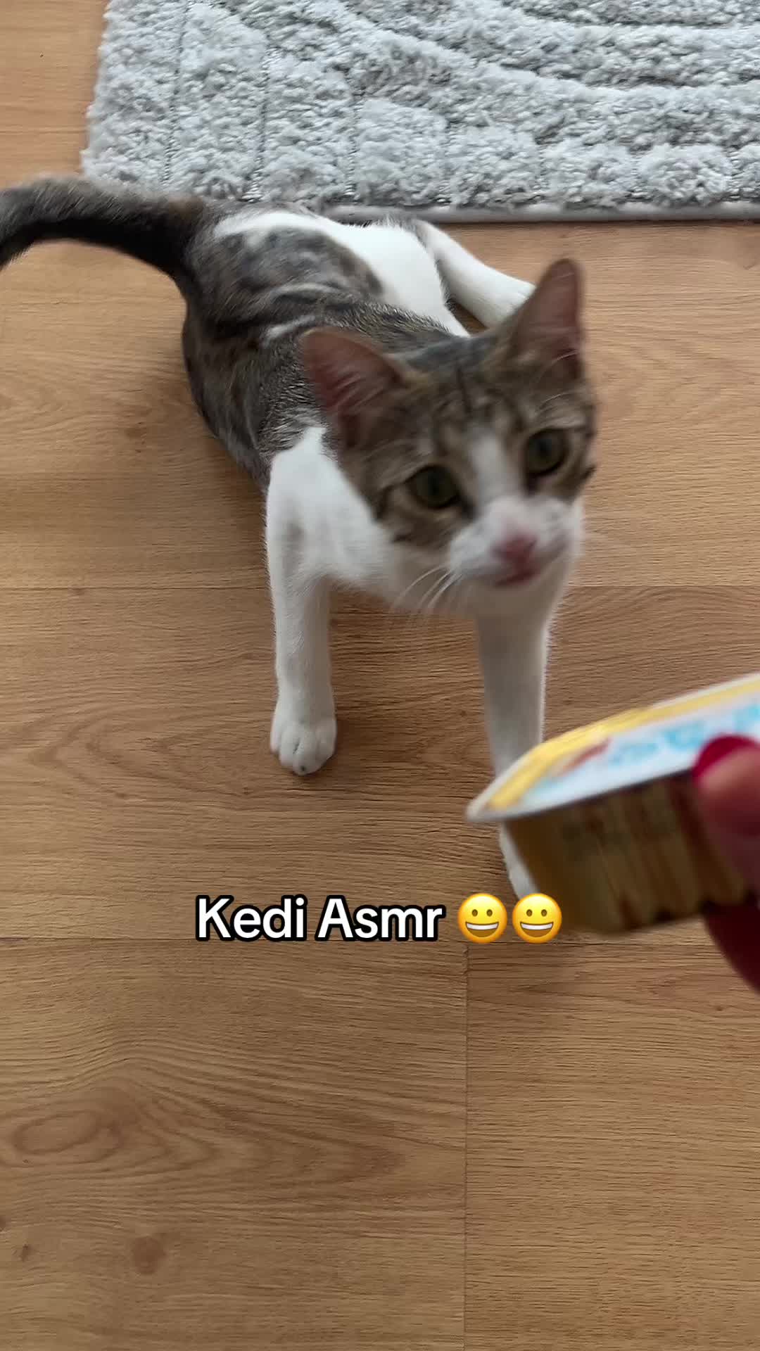 @kader1demir