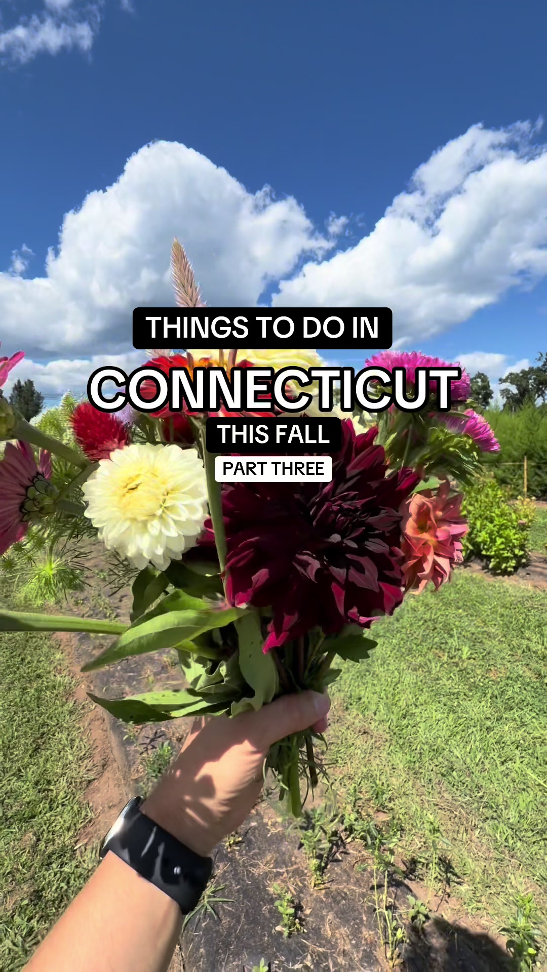 @tasteconnecticut