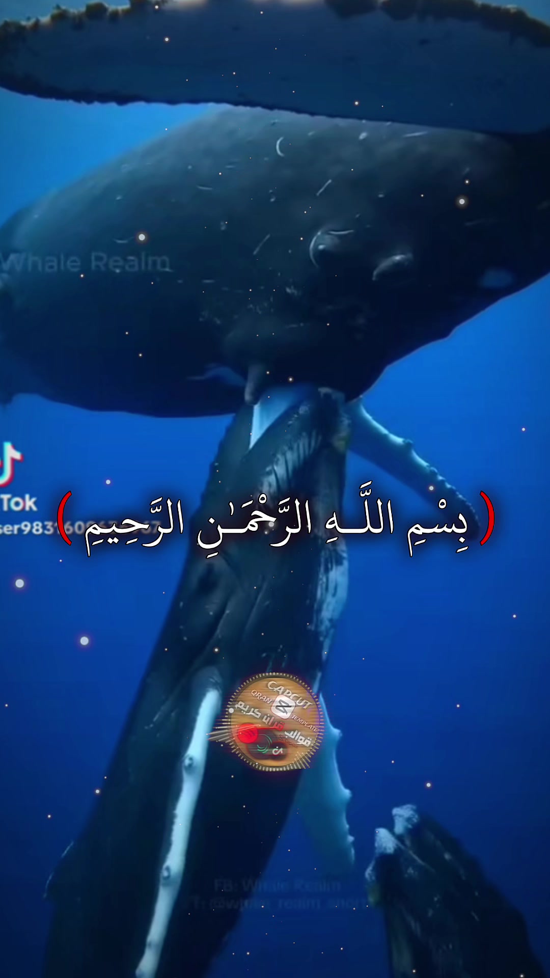 @El Hassane