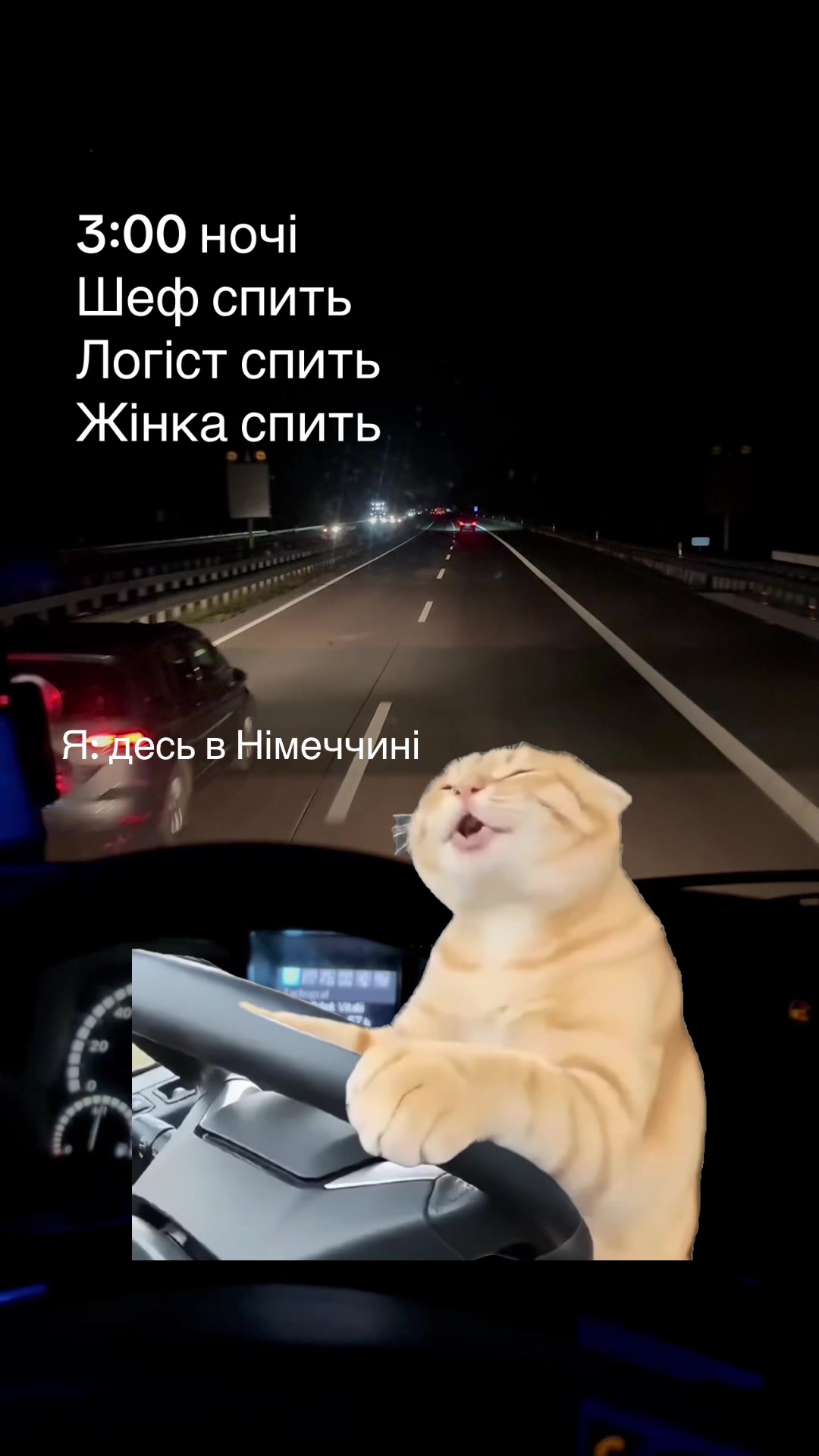 @vitalik_5