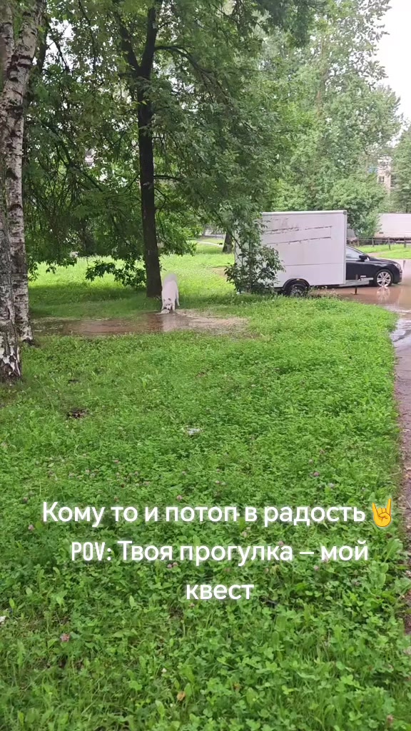 @🇧🇾👋Mushka and Plyshka👋🇧🇾