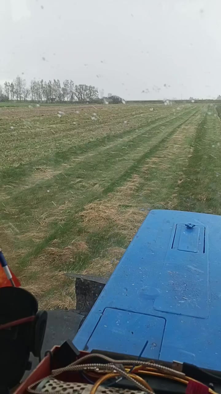 @Александр