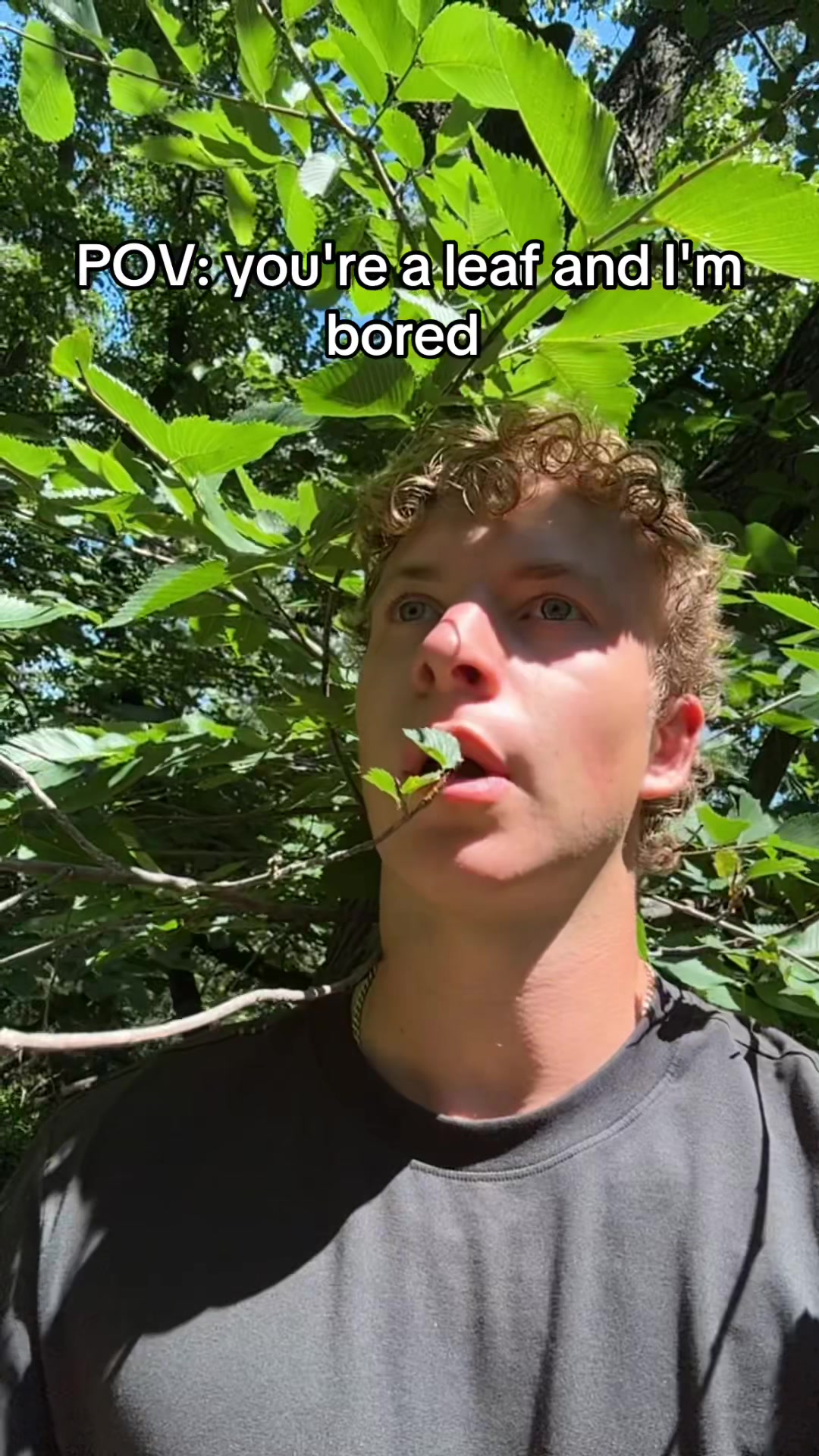 @Pugosh