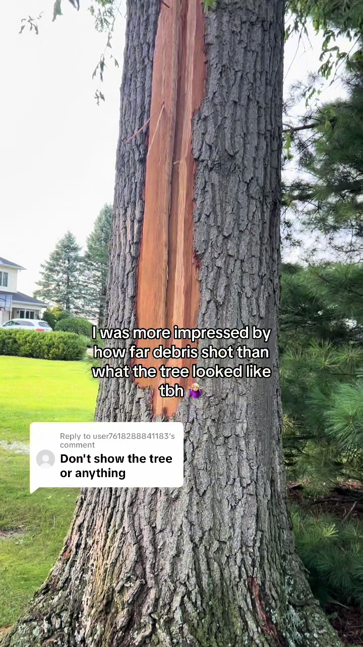 @Kaitlin