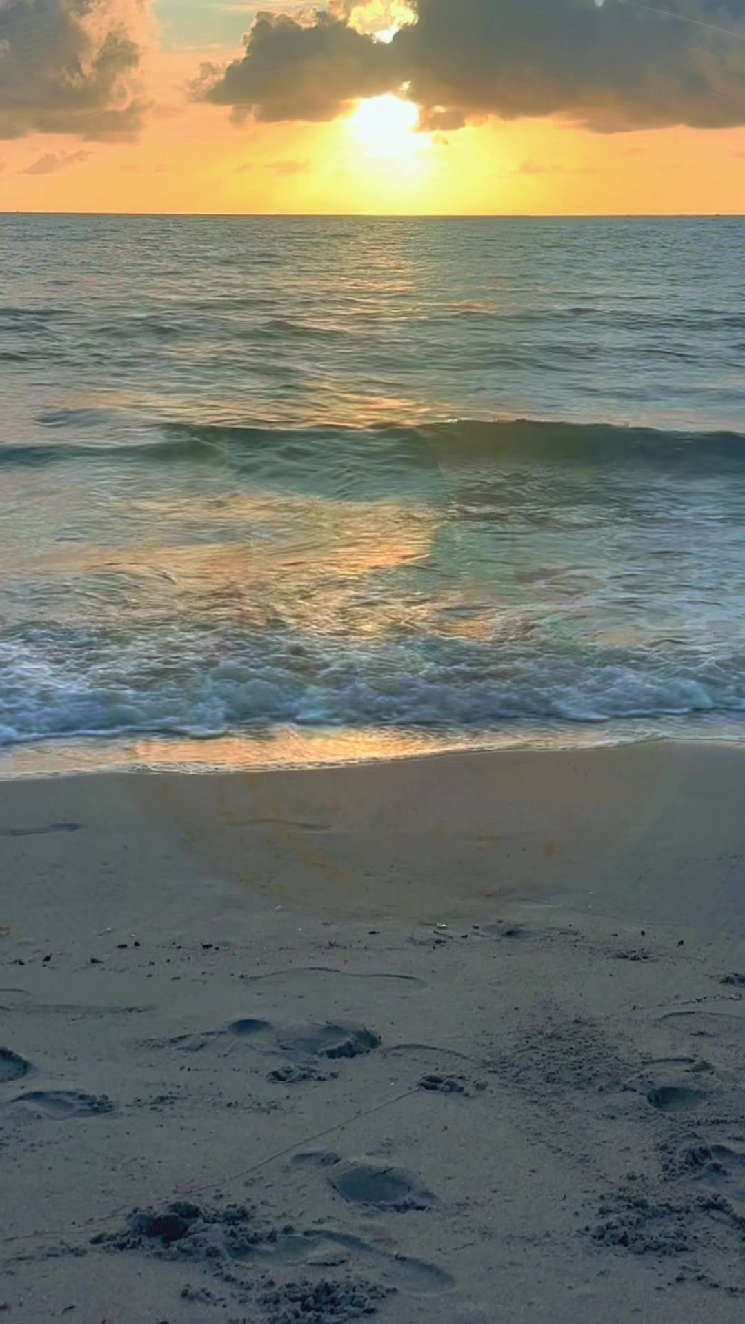 @SEA ME🪼🎶🌸