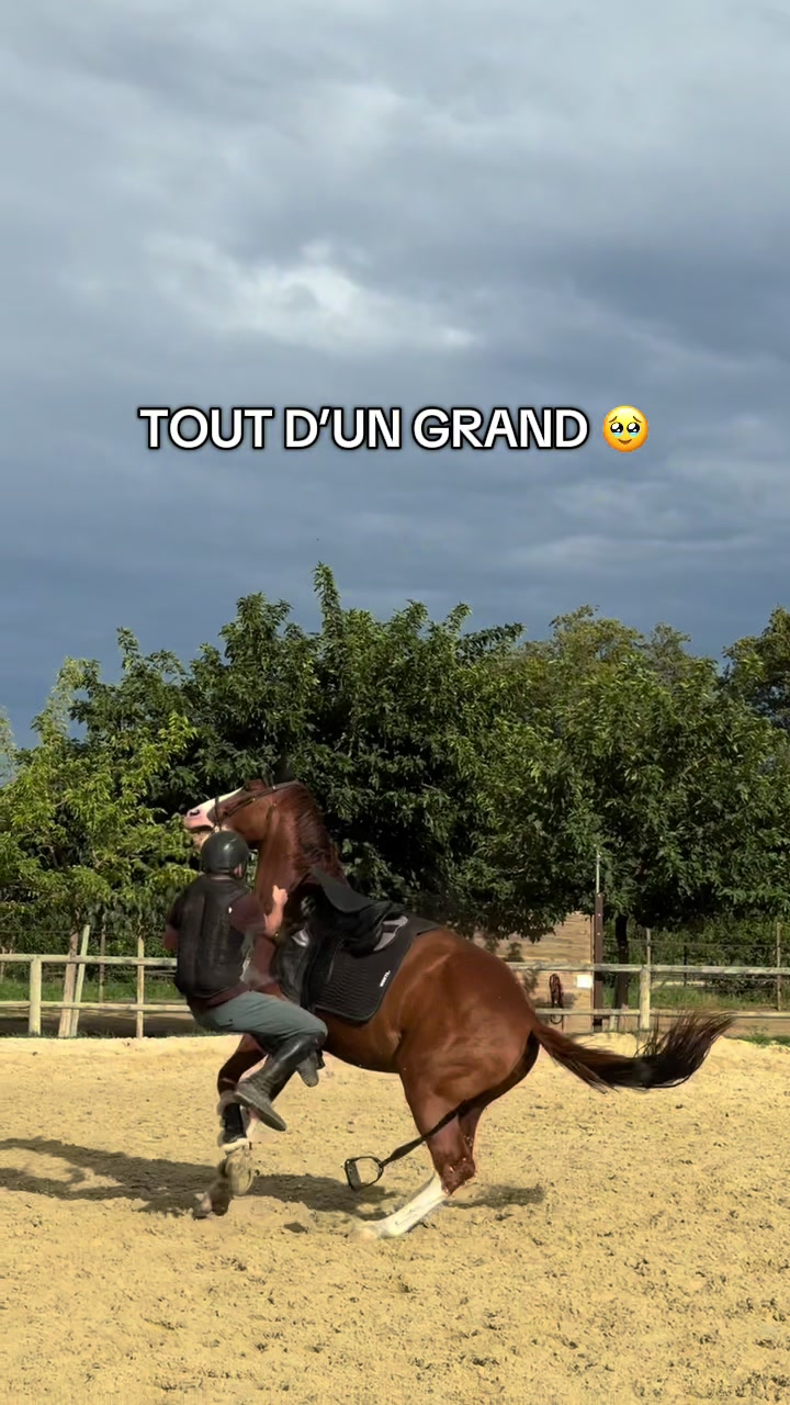 @redolfi_lou