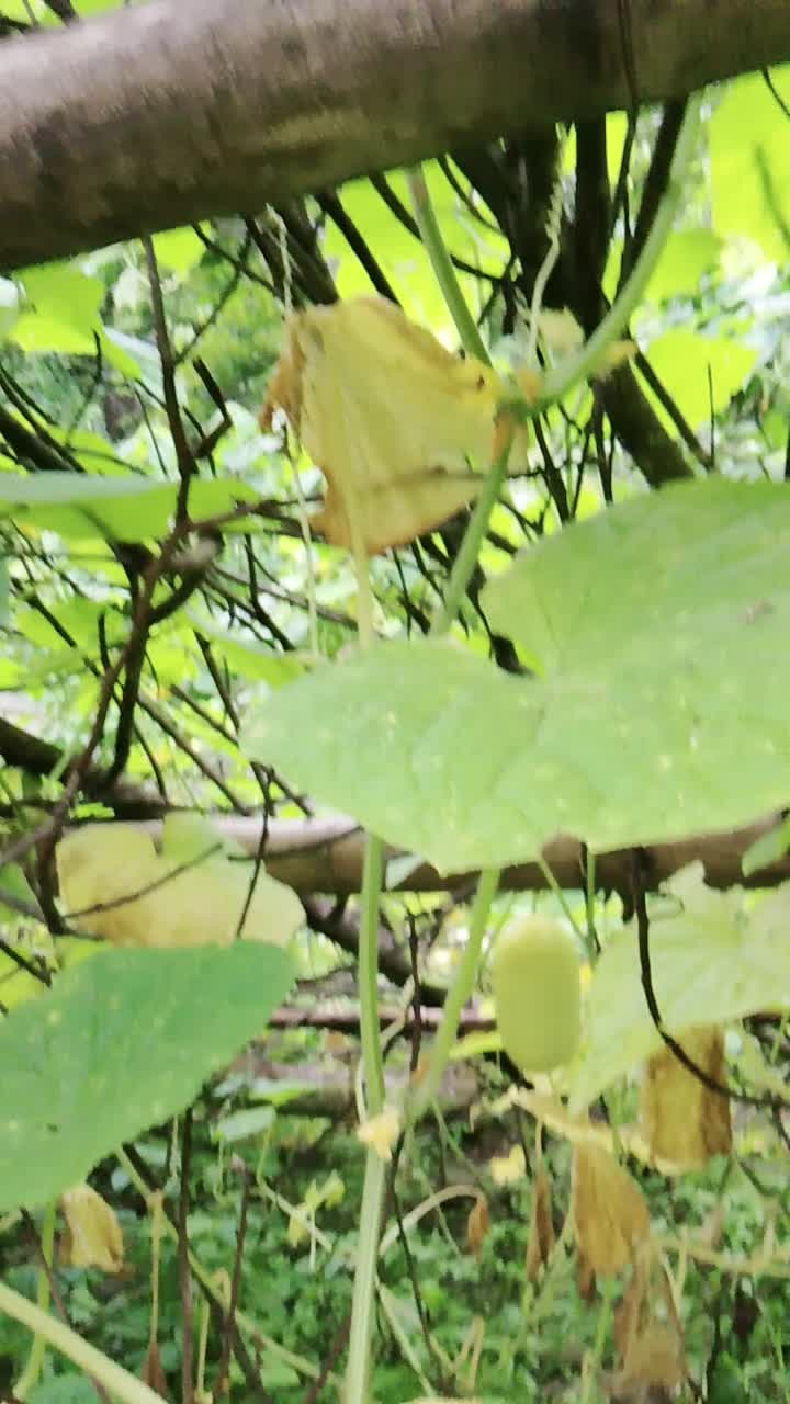 @devang8020
