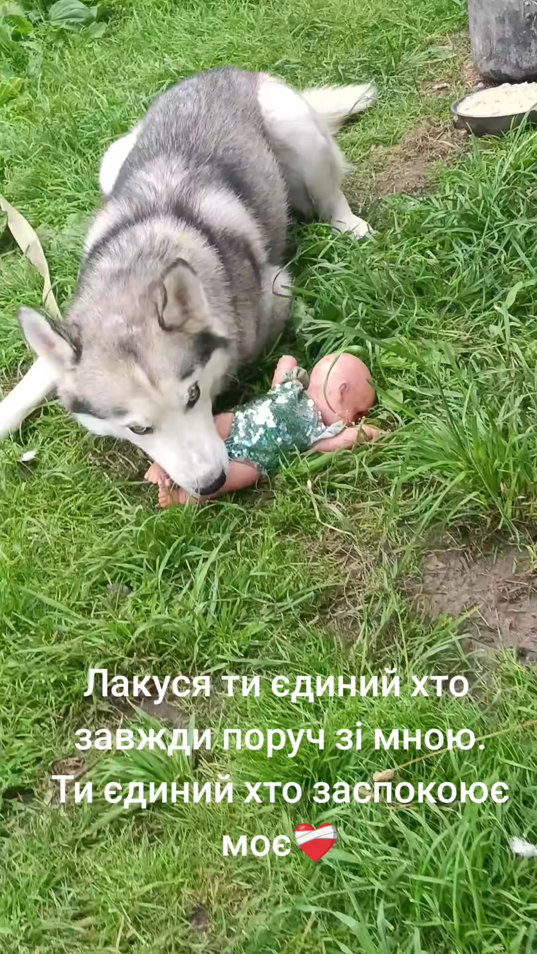 @👑😘Anastasia🇺🇦❤️