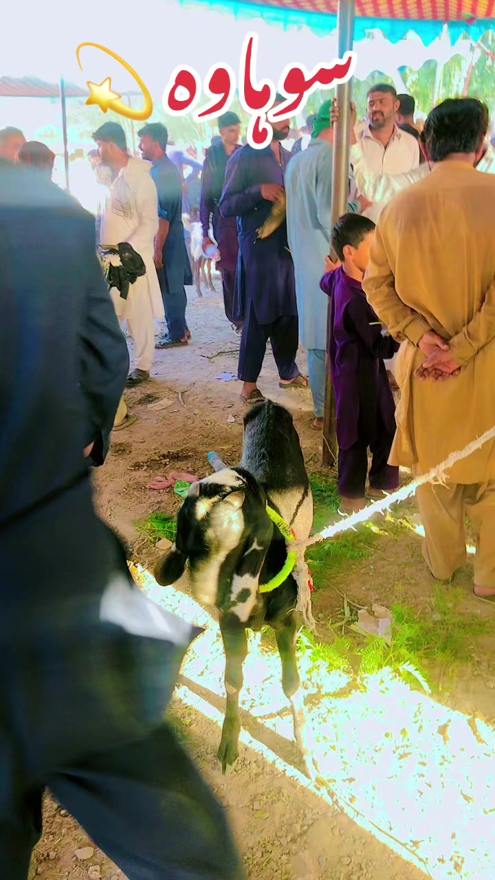 @پیلاں آلہ