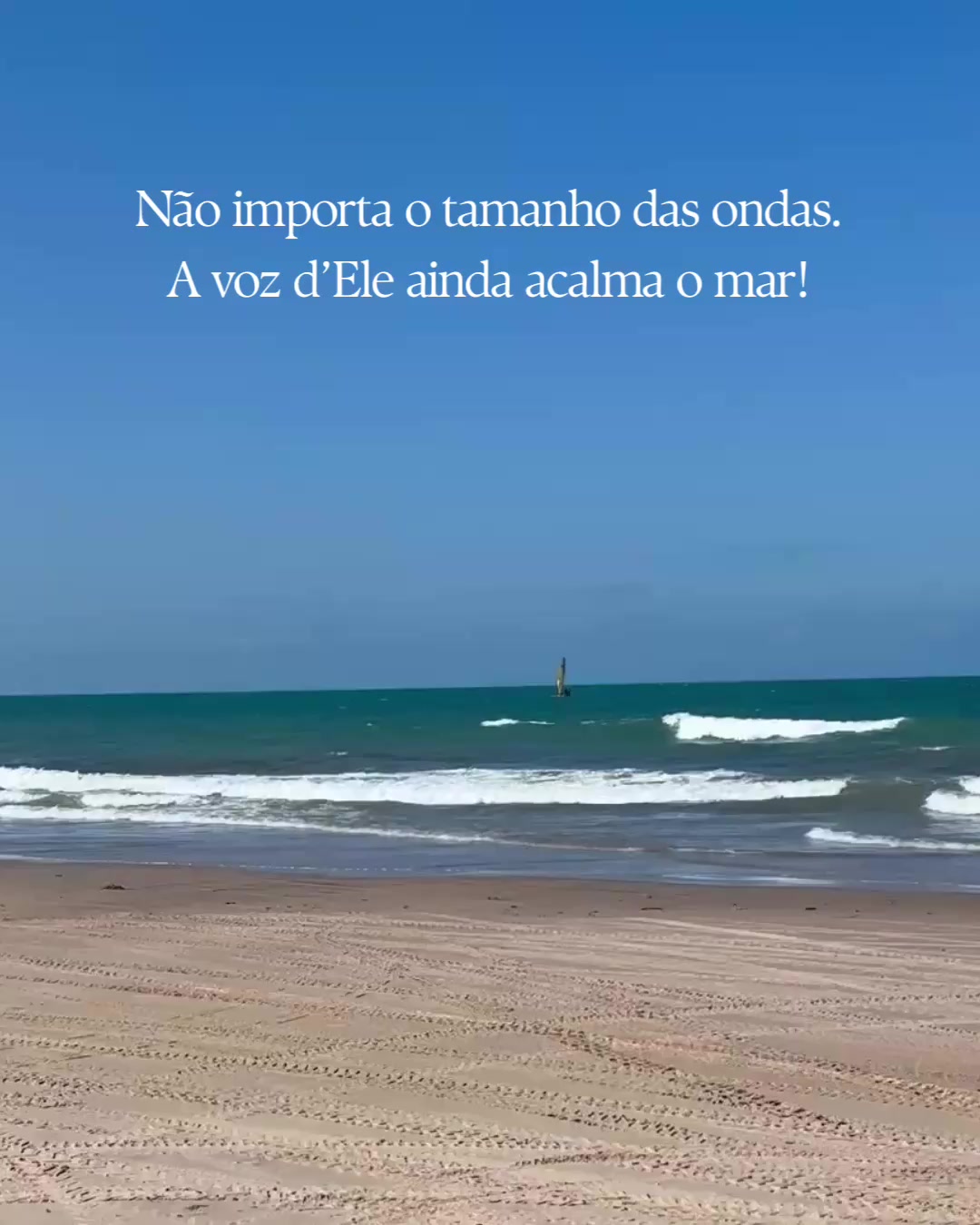 @Vanessa Plácido