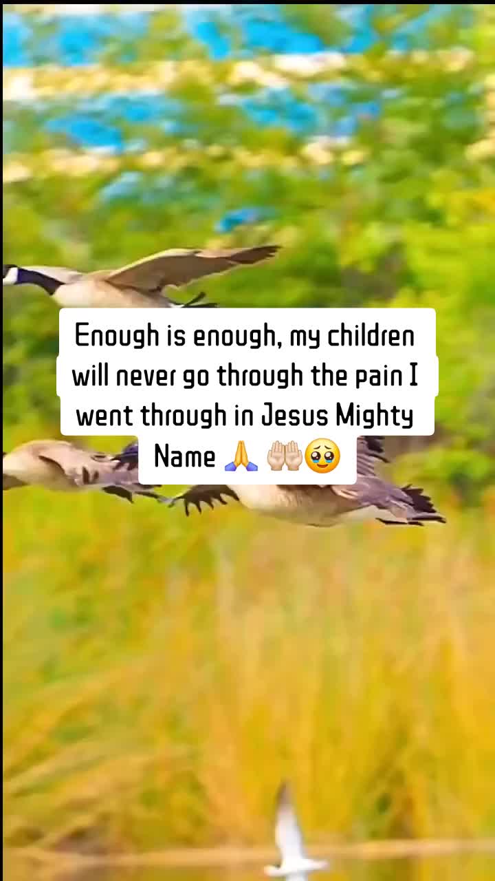 @𝕭𝖔𝖇𝖔