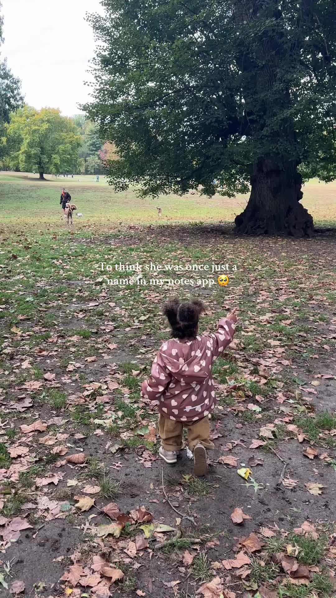 @victoriafalknyc