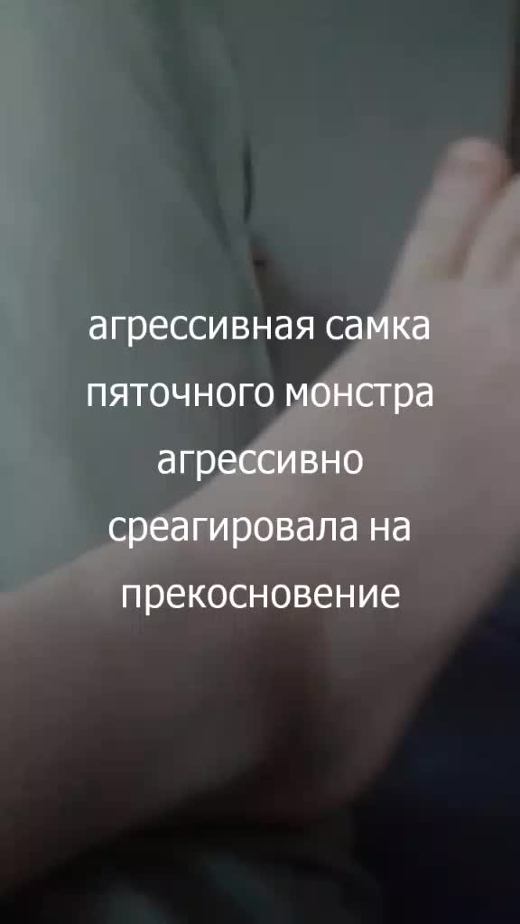 @пятколиз lexus