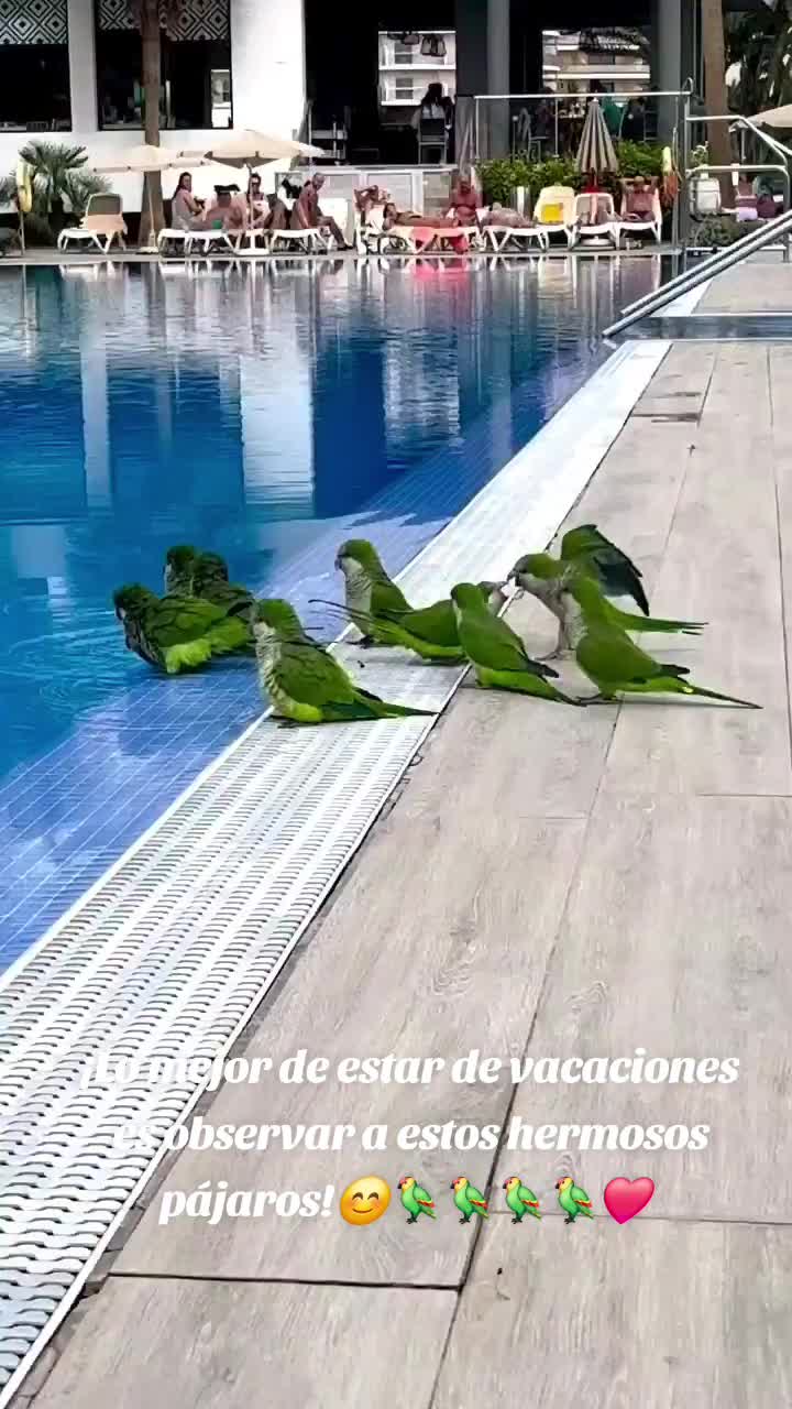@Roxana Nunez
