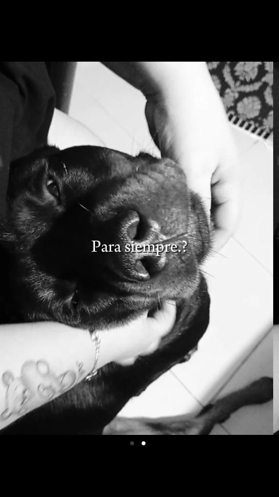 @🌸STEFANIA🌸