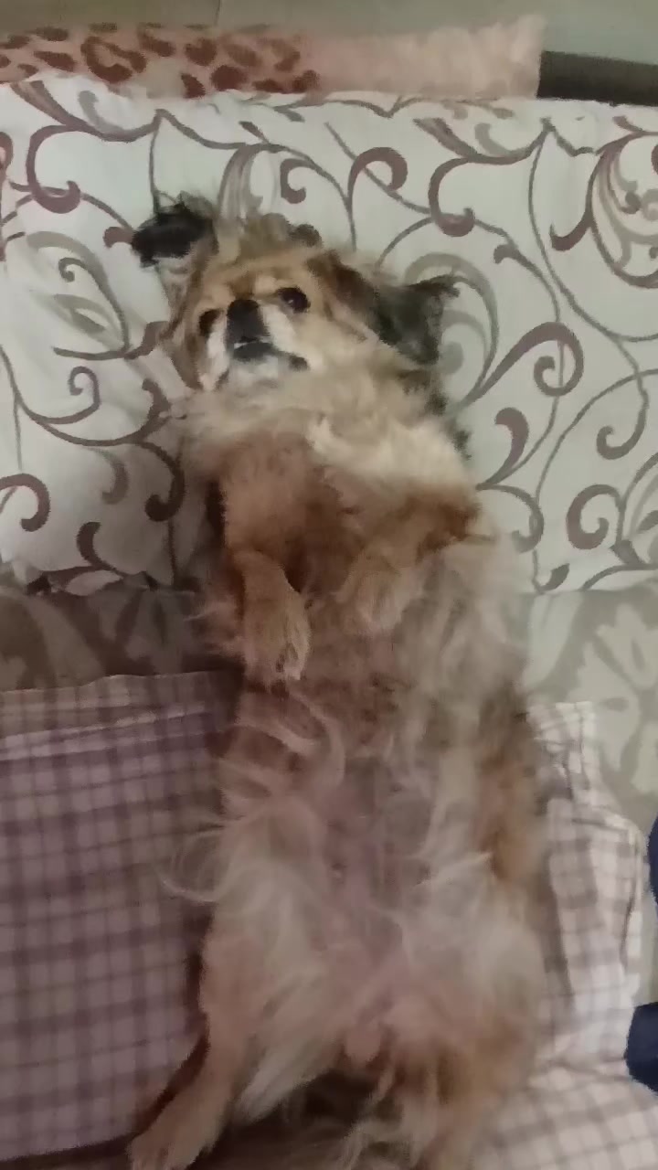 @Взаимная💯💋♥️