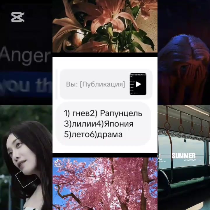 @anisoi