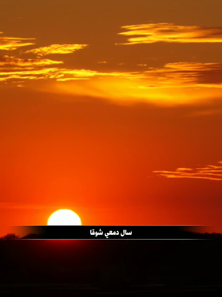 @Zamz*