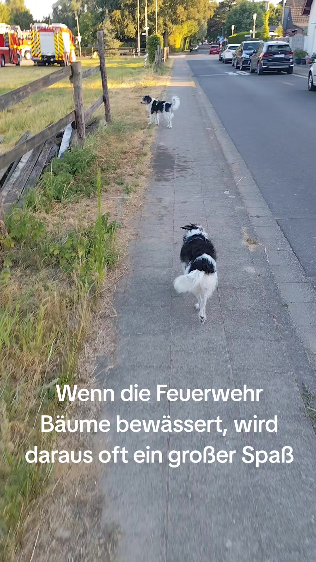 @❤️Lucy und Pepe❤️