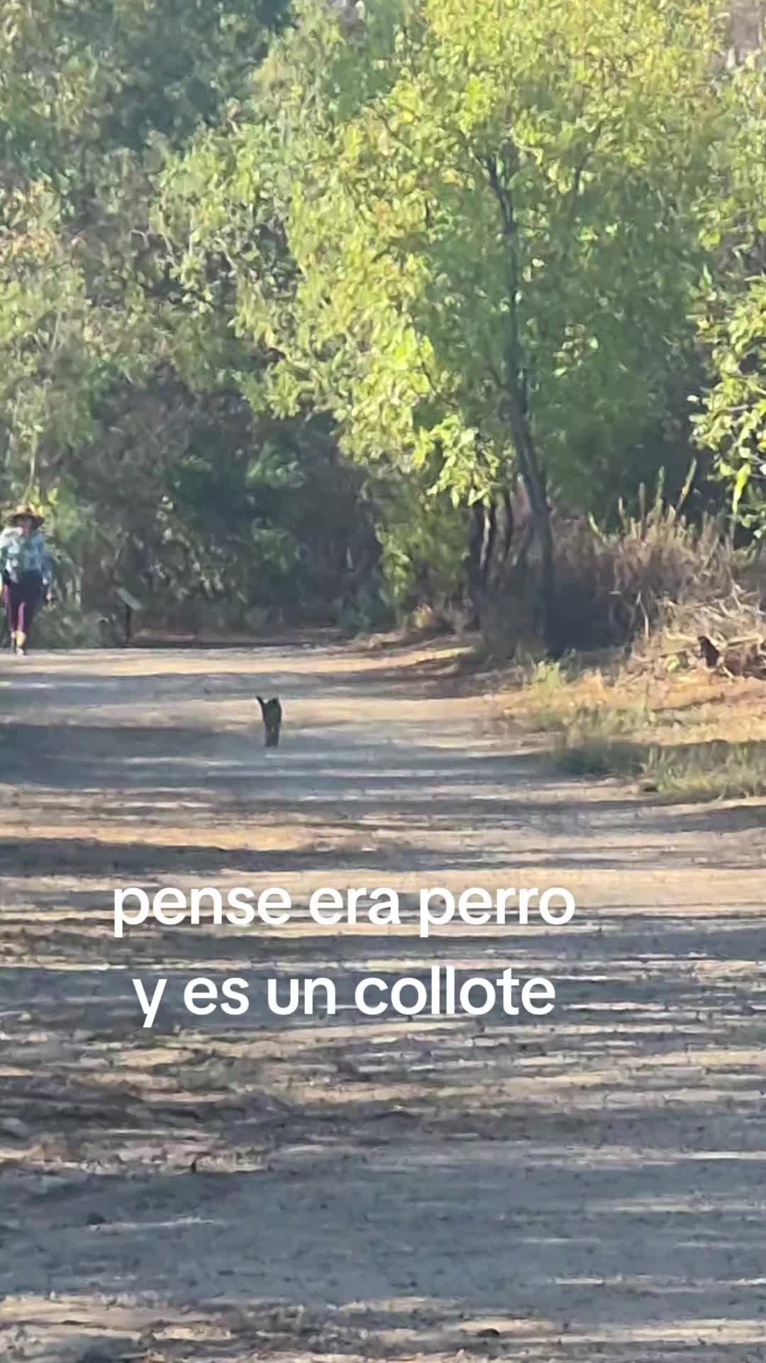 @dorismar