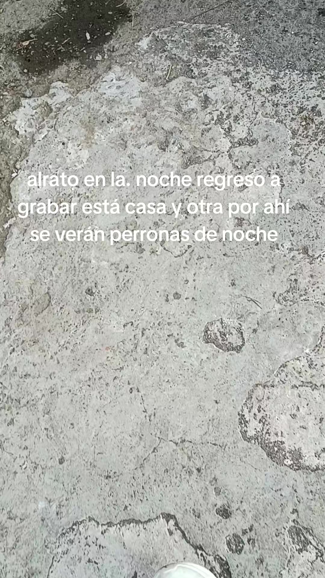 @negro jarocho