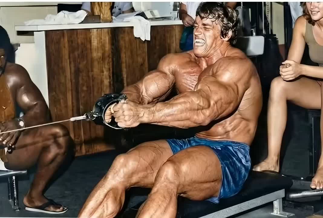 @bodybuildingDNA