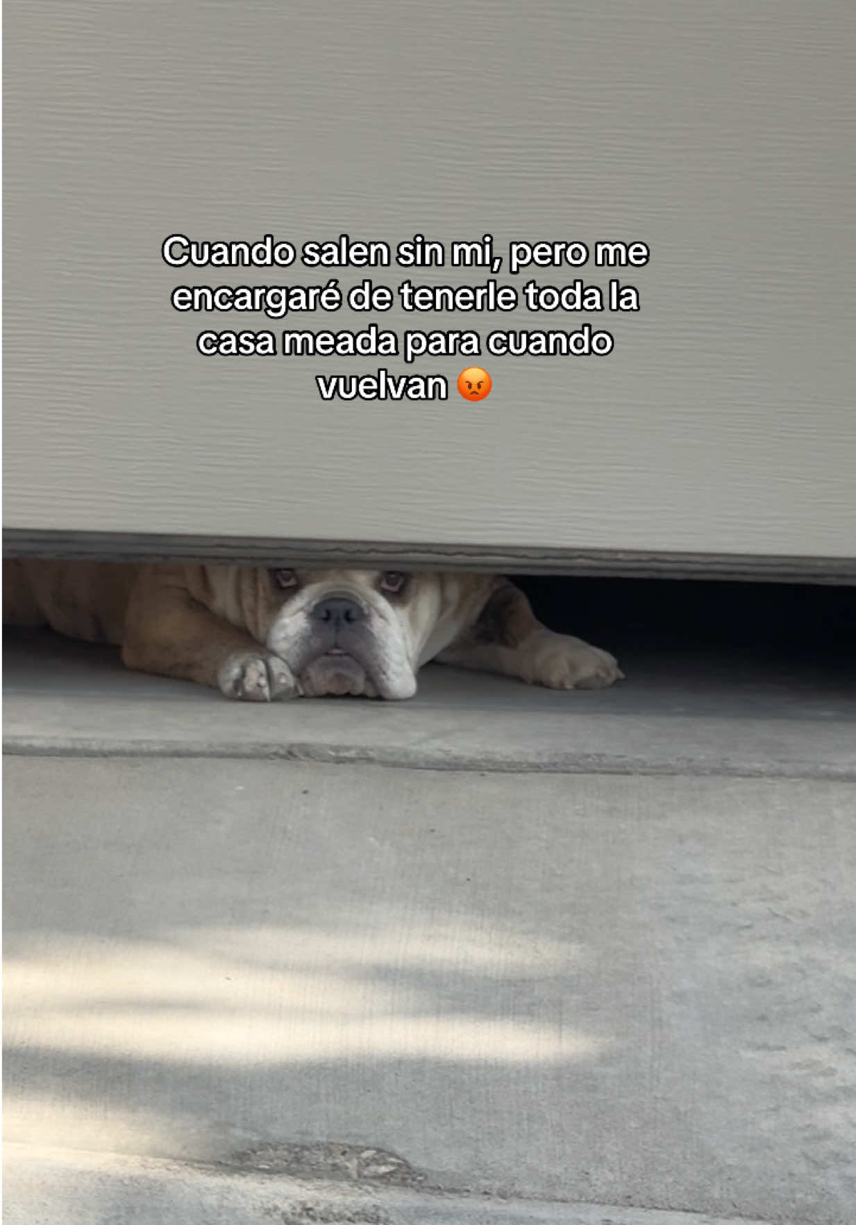 @La Familia Girón