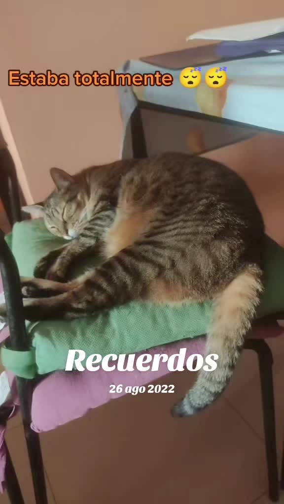 @Ro