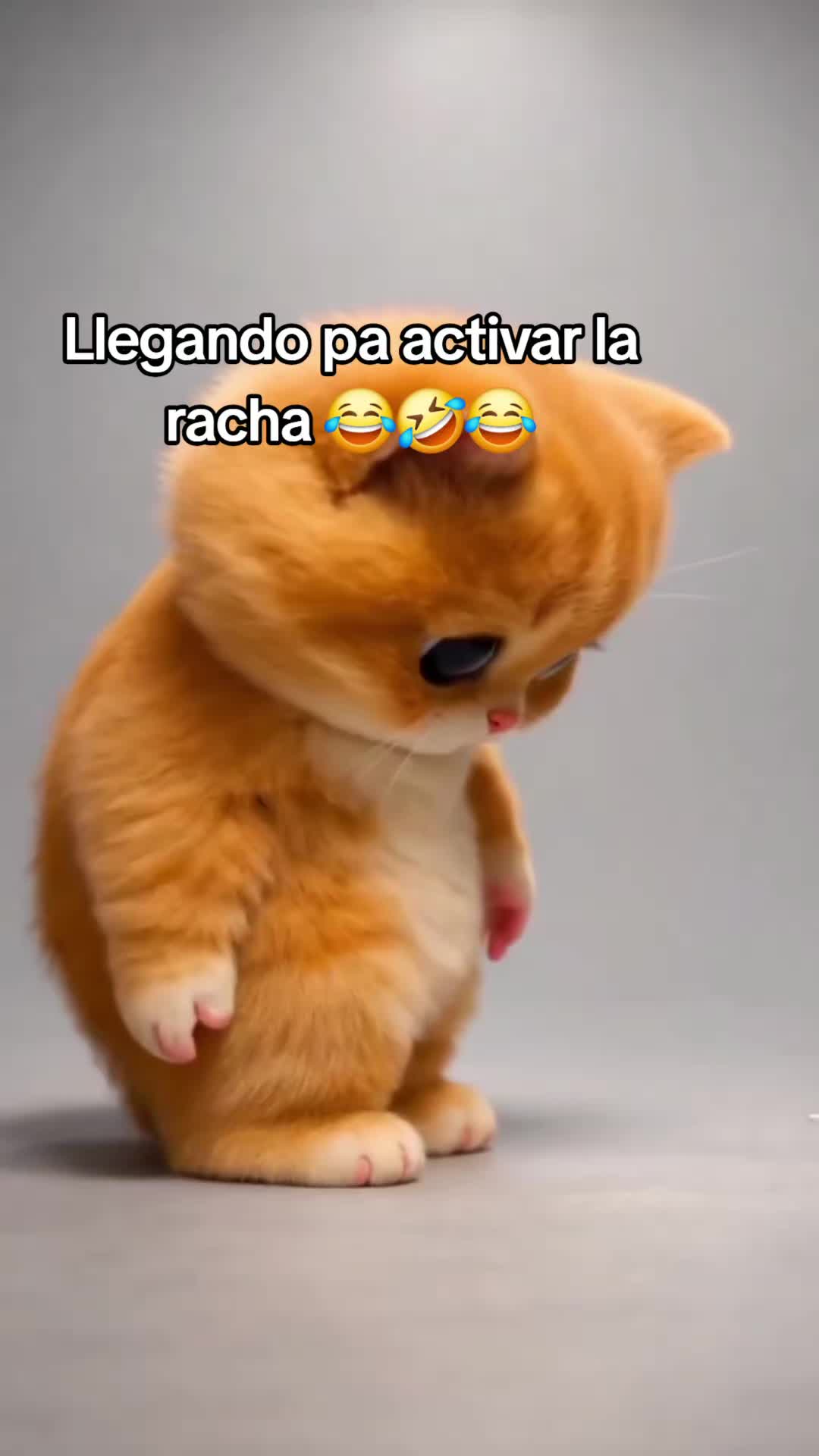 @🎀🦬MAK&yen;☕️D🦋CENTINELA🧋🪷🐈&zwj;⬛