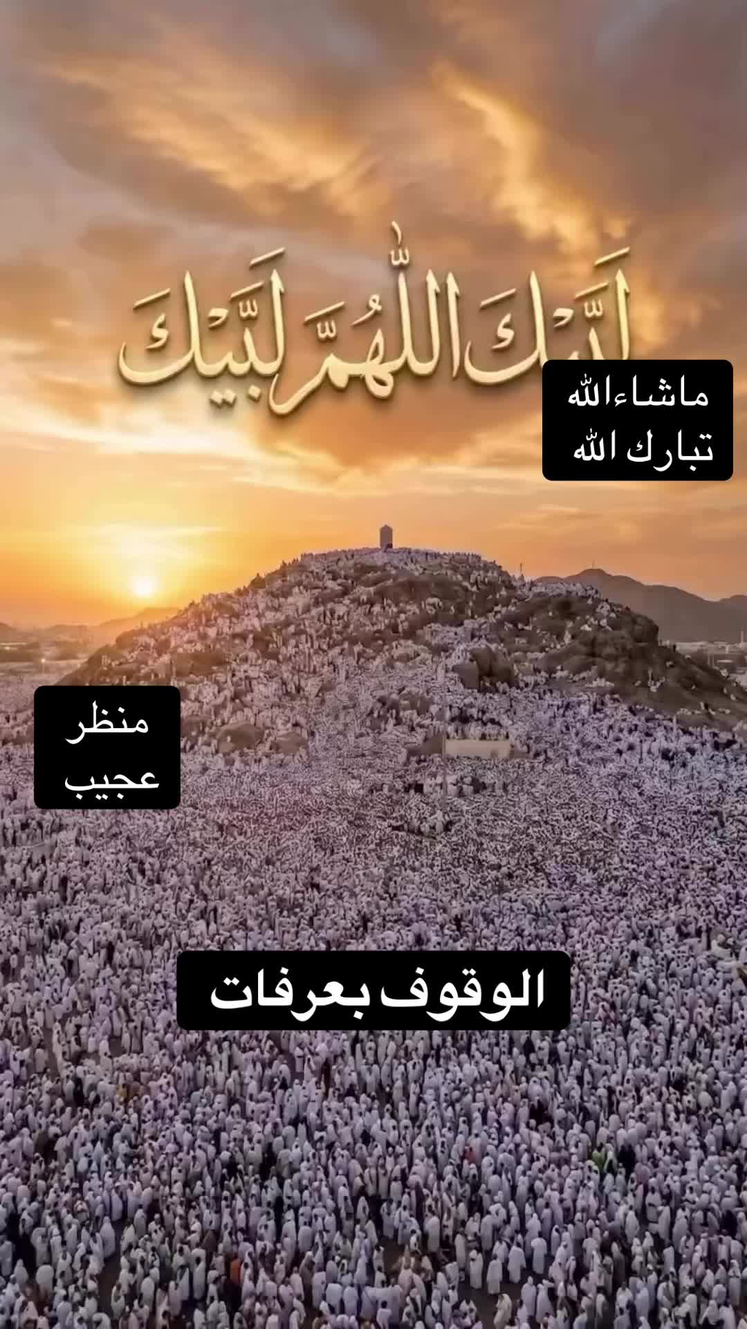 @عبدالعال