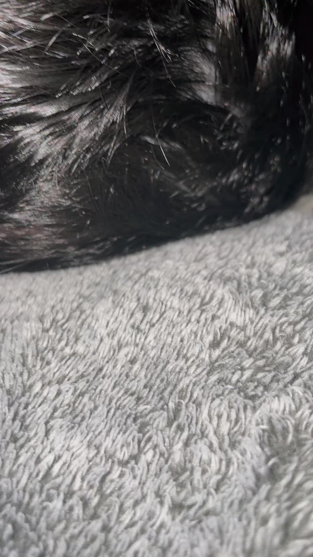 @Montse Zepeda