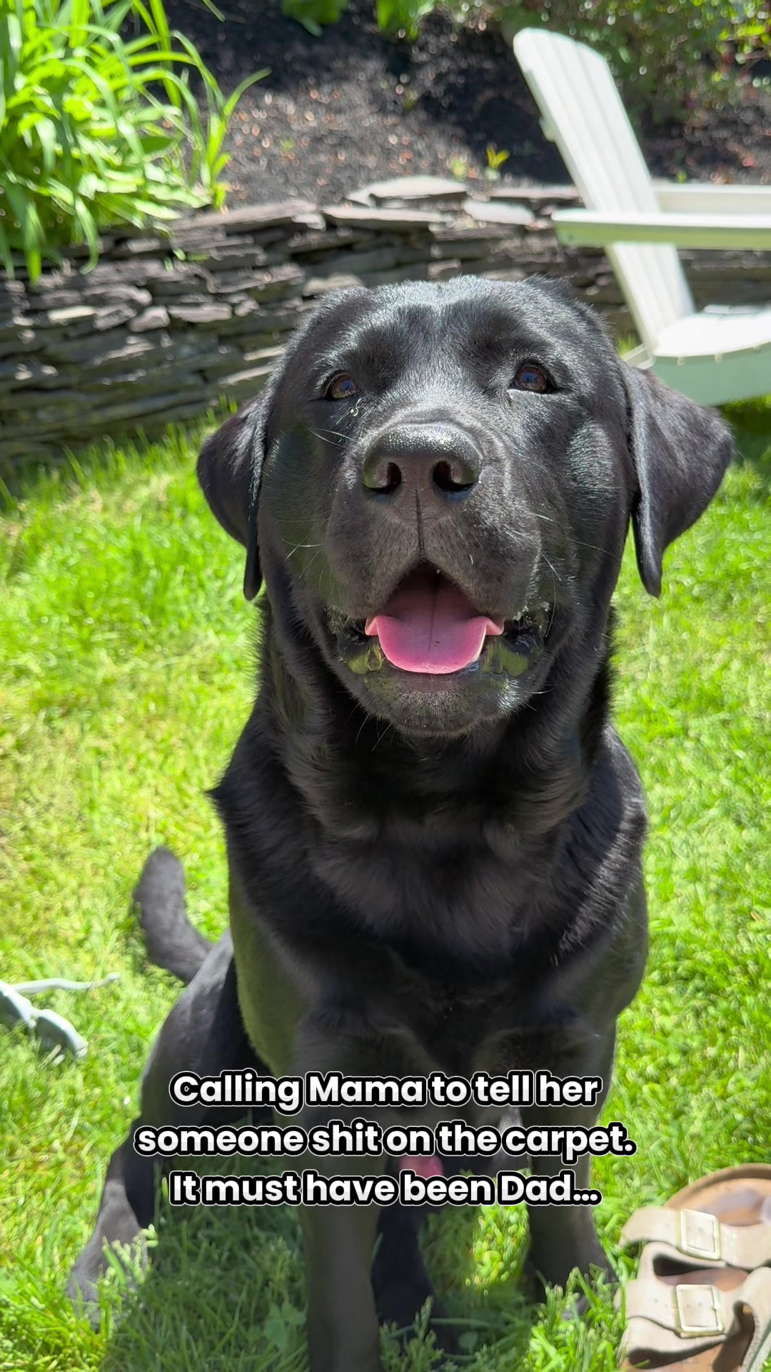 @DennisTheBlackLab