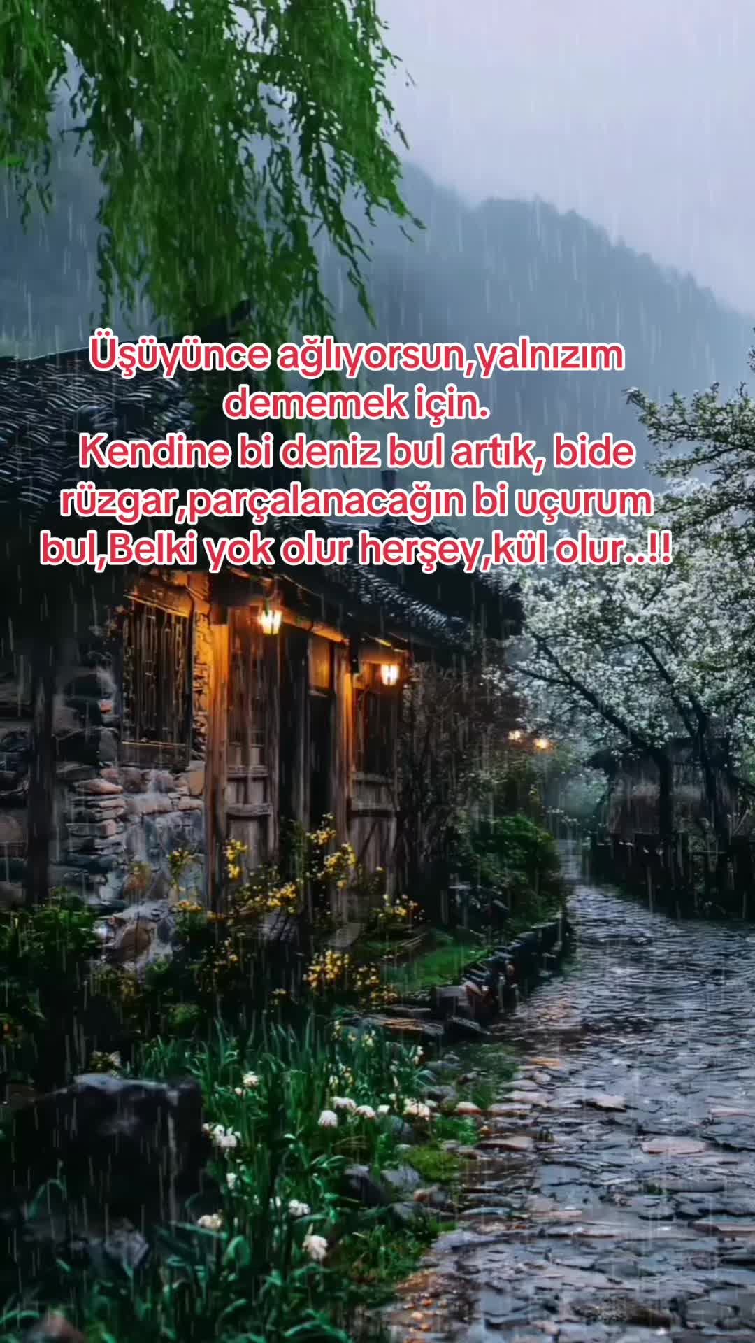 @Buzbeyi