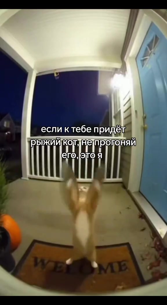 @nosochec.trikki