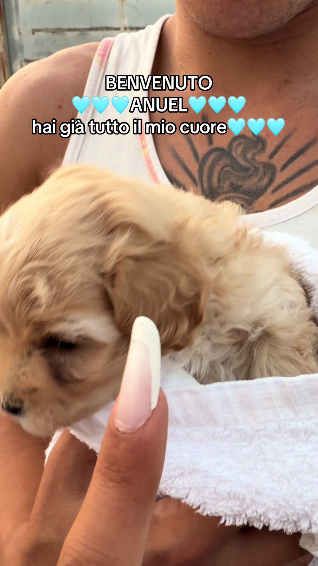 @SABRYNA17🇧🇷