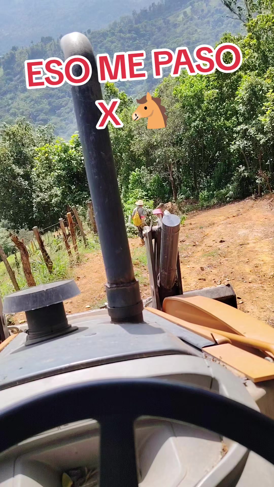 @Mex