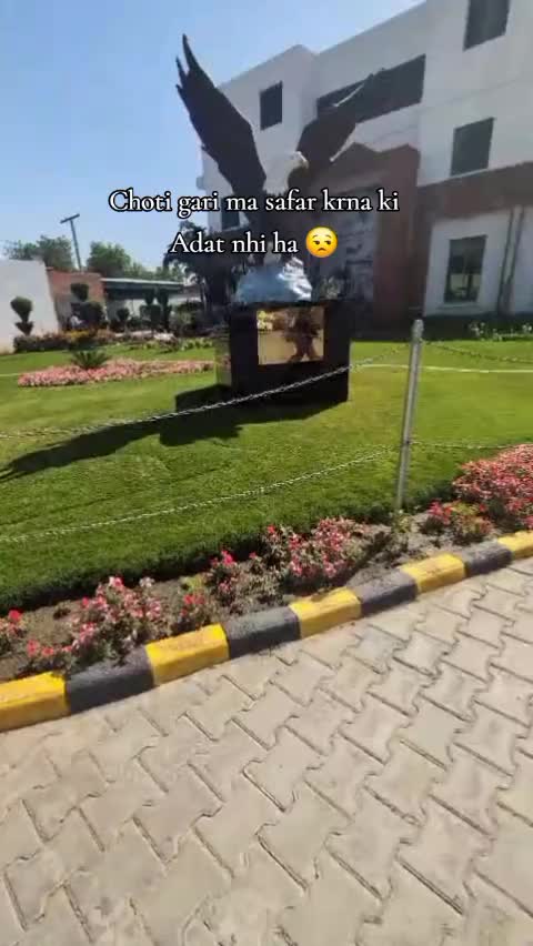 @Dr. Mahi🩺