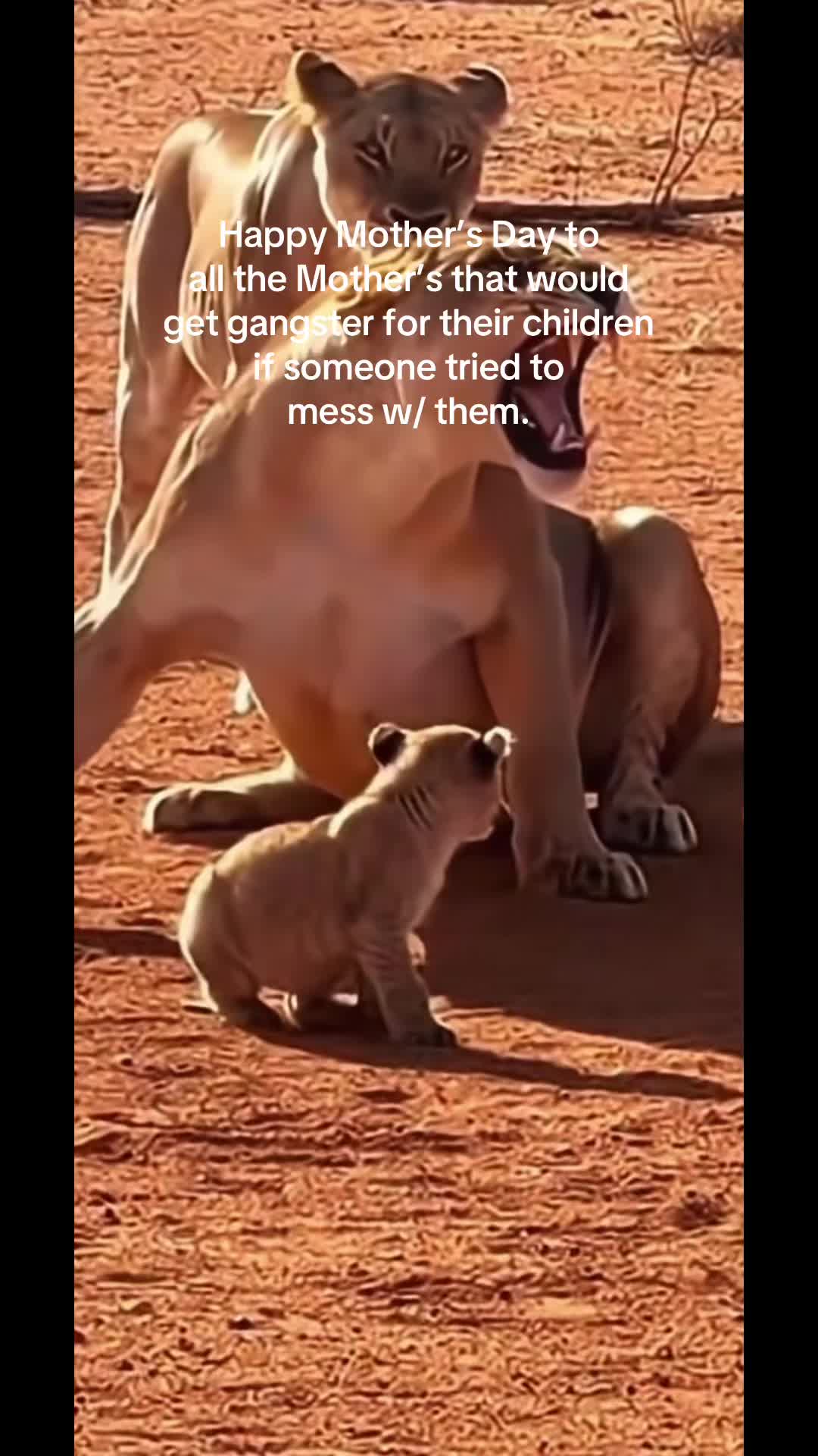@stompsandcompany20