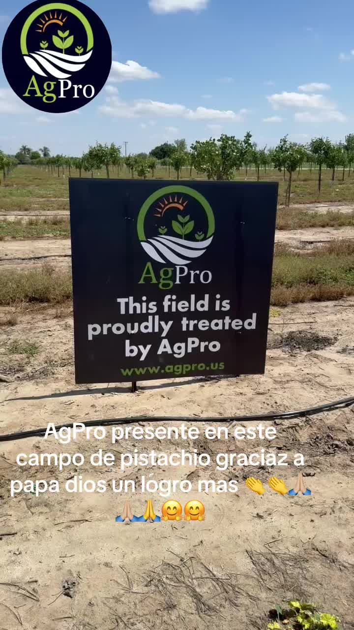 @Piedad Ayala