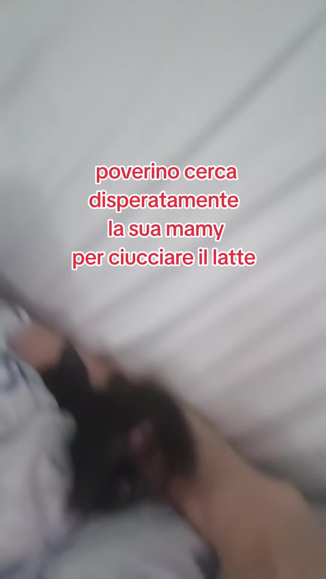 @vincenza