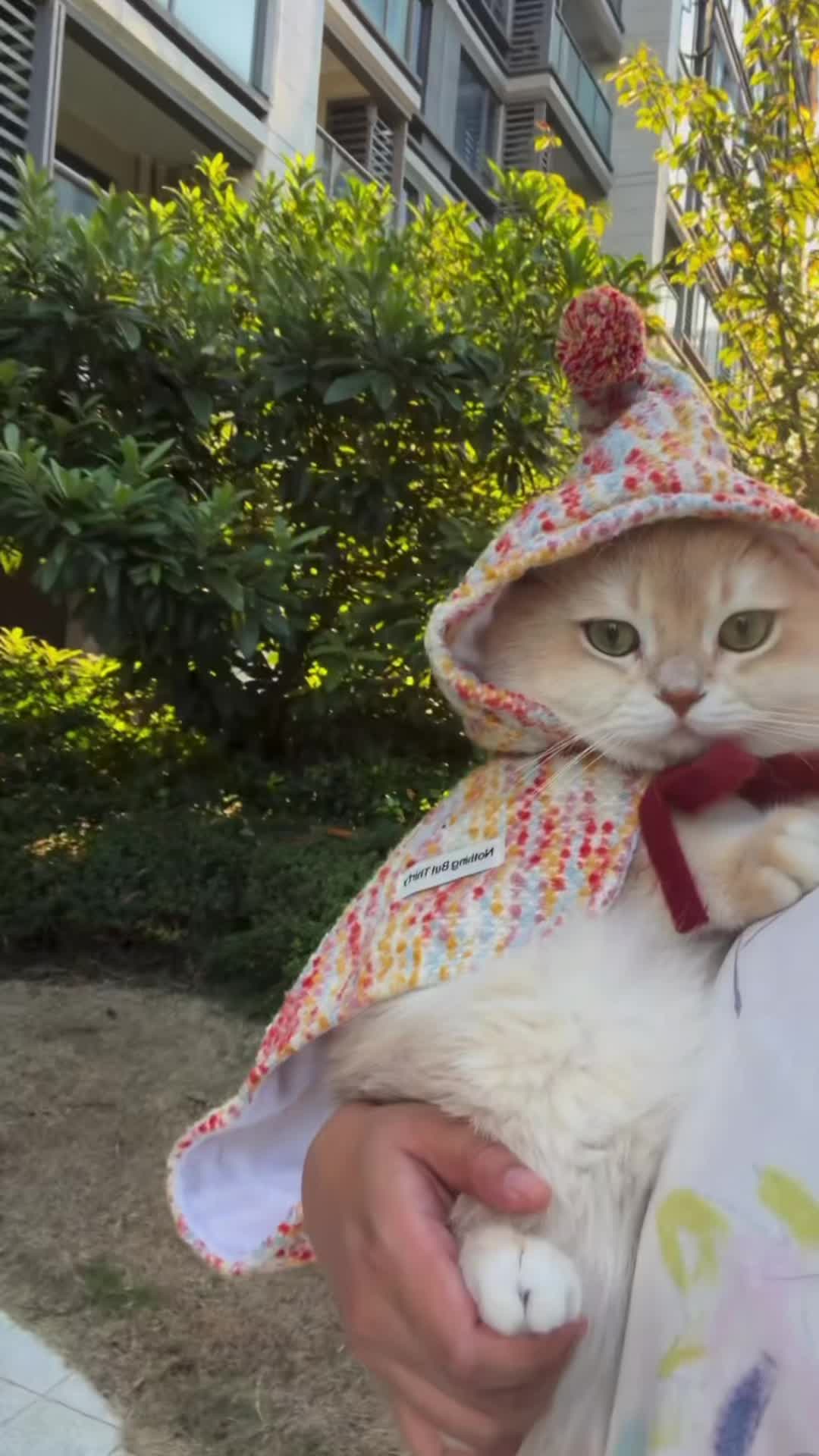 @My Daily Dose of Aww