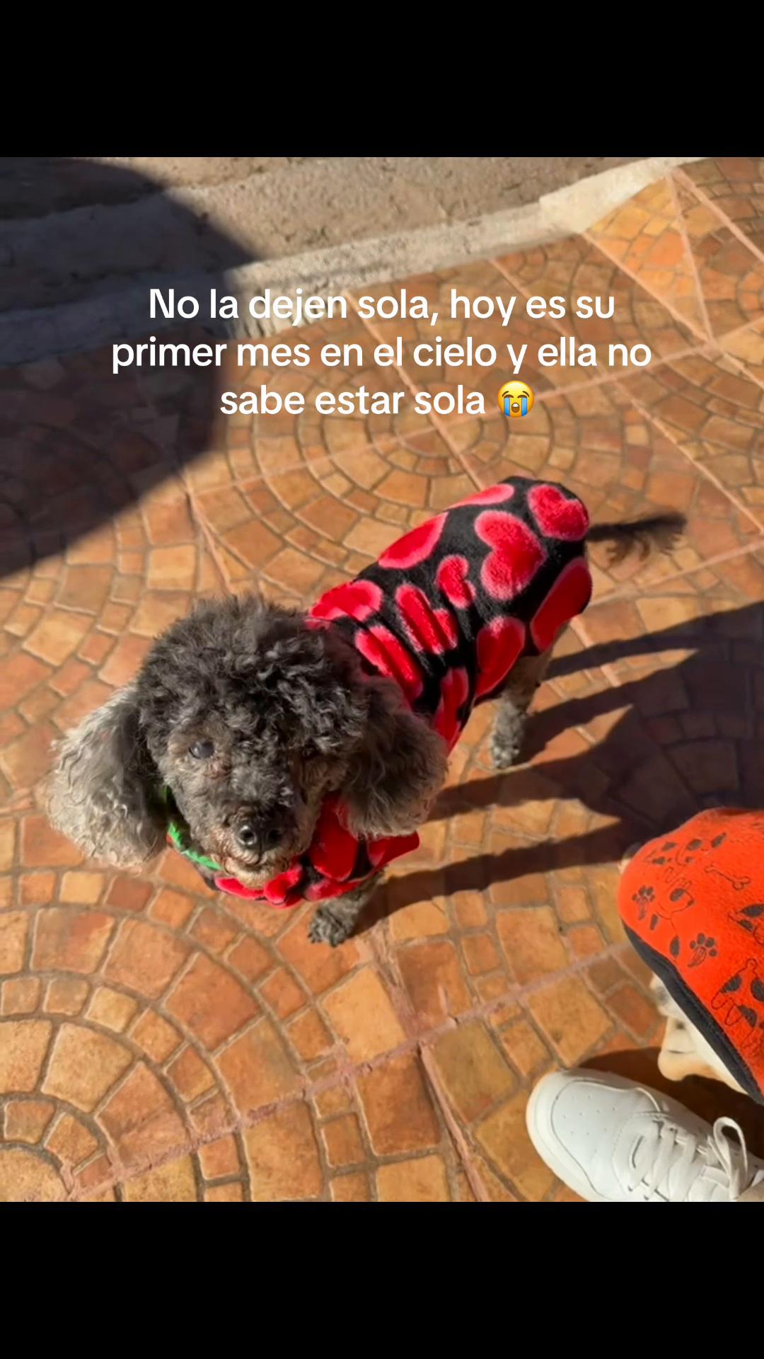 @Keila_llanos