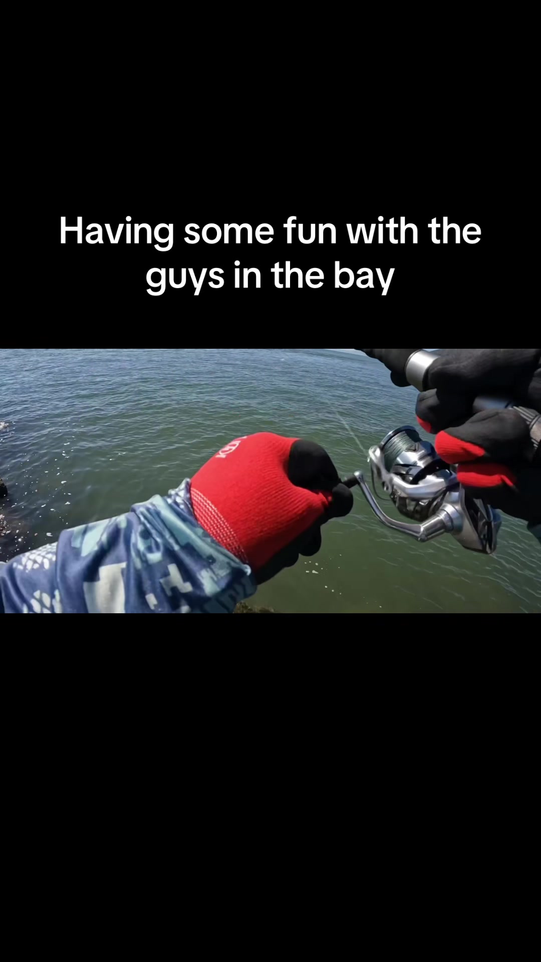 @Justfishnn510