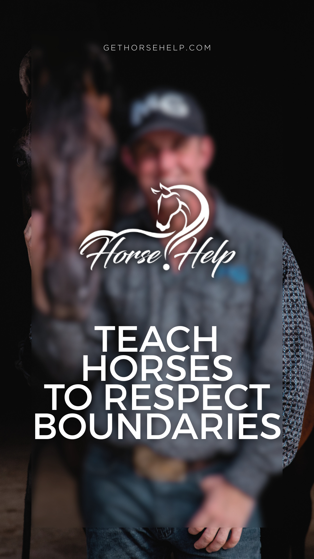 @Horse Help