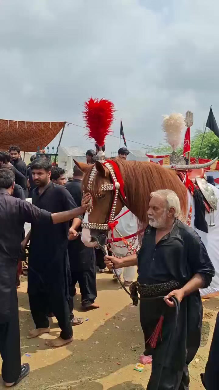 @مرکزی ذوالجناح تلہ گنگ