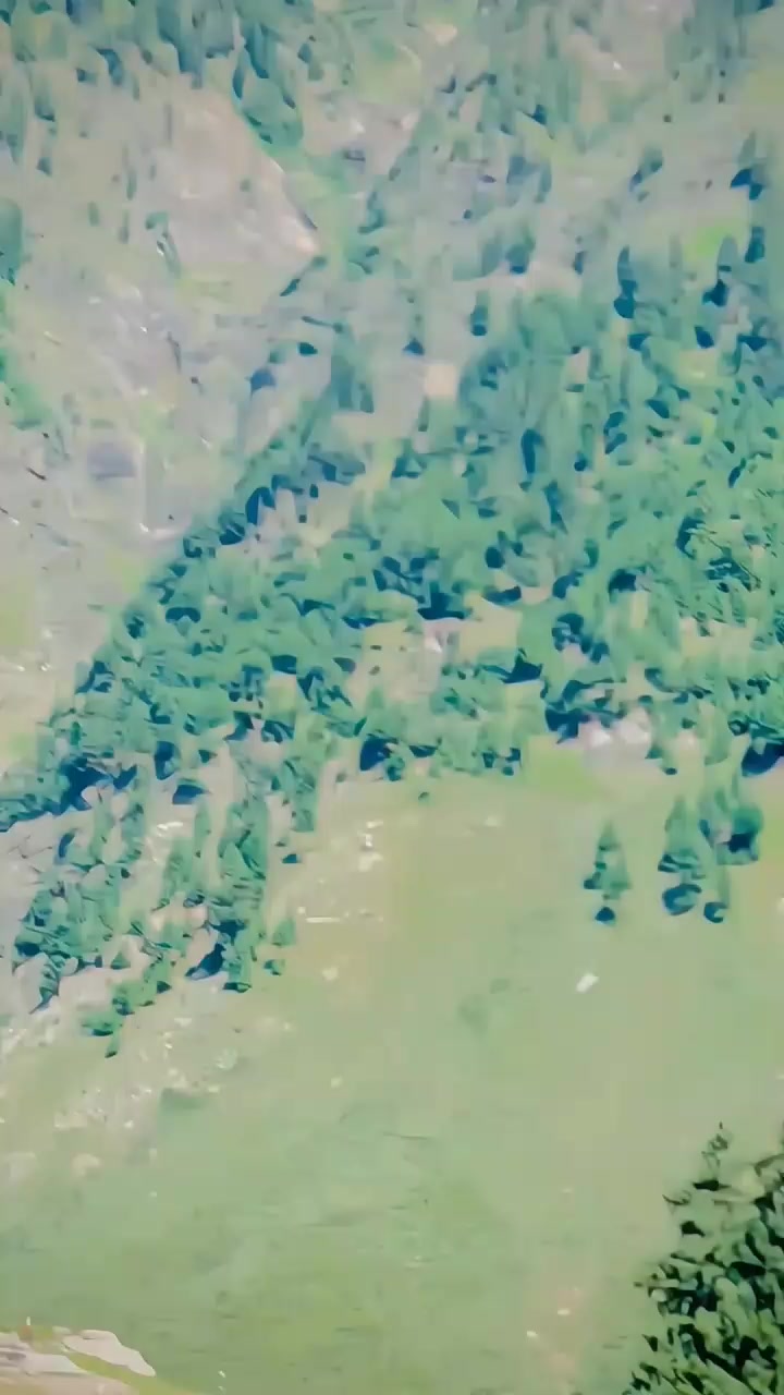 @صبیح ڈار💎🫰🏻