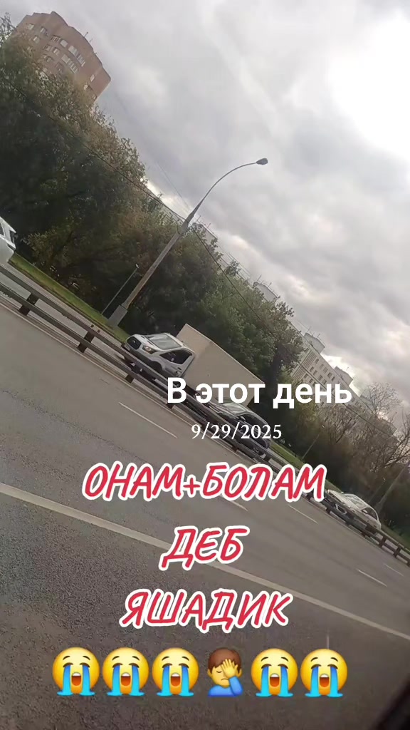 @shoira2281
