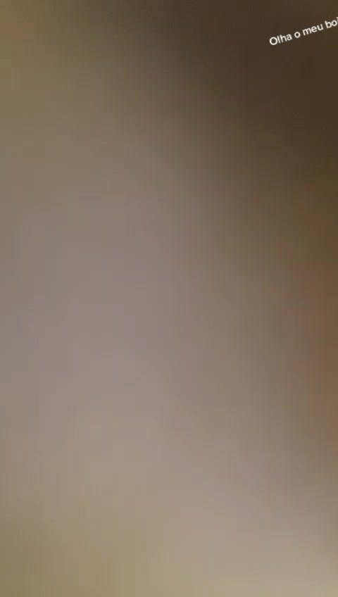 @brunooamarall