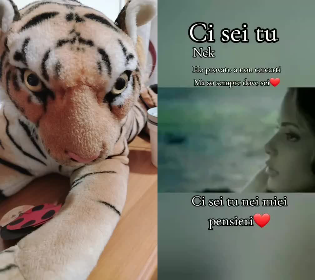 @50ELISA