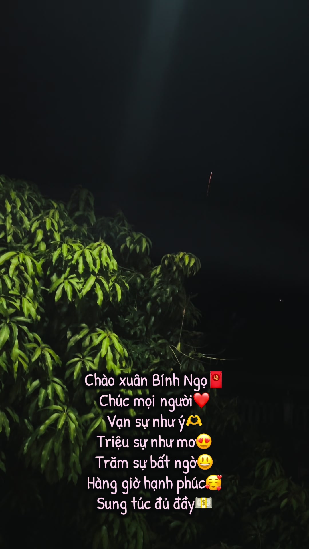 @Nguyên